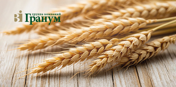Создание каталога продукции для группы компаний "ГРАНУМ"