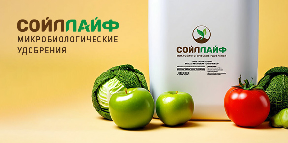 Разработка логотипа "СойлЛайф"