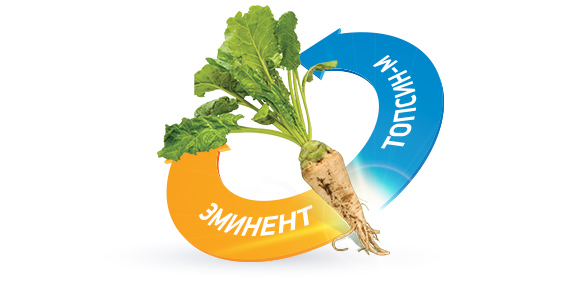 Дизайн рекламы в прессу SumiAgro
