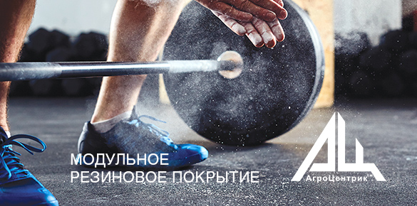 Дизайн презентационного буклета Компании Агроцентрик