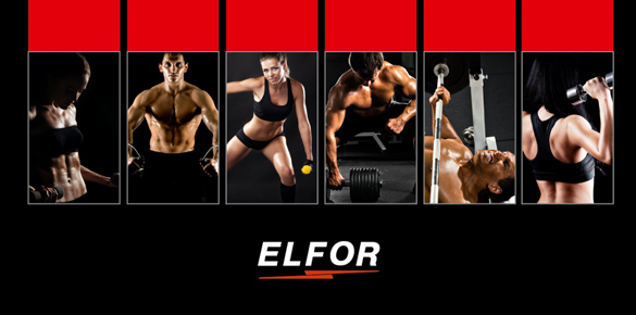 Презентационная брошюра логистической компании ELFOR