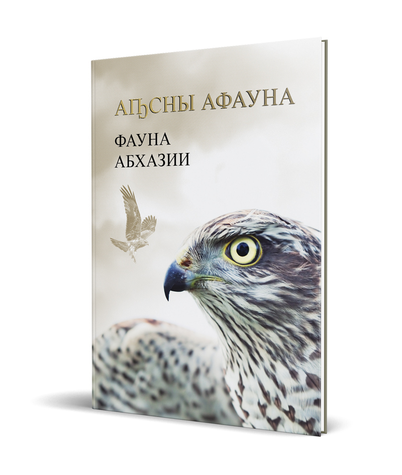 Дизайн обложки буклета