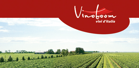 Презентационный буклет Компании Vinoboom vini d'Italia