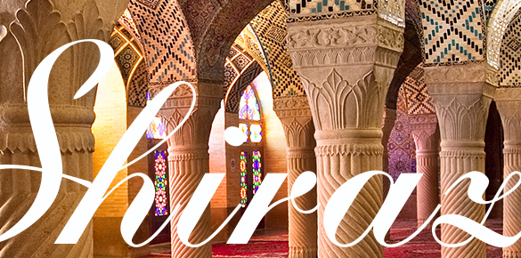 Разработка фирменного написание названия Компании SHIRAZ (Шираз, Иран)